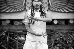 Performing @ Firefly Gathering